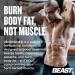 Beast Sports Nutrition 2Shredded - 60 Vegetable Capsules - Fat Burner, Energy Booster & Metabolism Support - Keto-Friendly Thermogenic Complex - 30 Servings - Buy Online on GoSupps.com