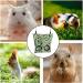 2 Pcs Rabbit Hay Feeder Rabbit Accessories Hay Bag Straw for Rabbits Guinea Pig Hay Feeder Hay Feeder Guinea Pig Guinea Pig Guinea Pig Hay for Guinea Pigs Feeding Hay Guinea Pig Hay Bag with 2 Holes - Buy Online on GoSupps.com