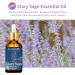 Clary Sage Essential Oil 100ML Mother's Day Gifts Set 100% Pure Undiluted Aromatherapy Clary Sage Oil 3.38fl.oz for Soap Candle Making Massage Diffuser Humidifier BR-Clary Sage 100.00 ml (Pack of 1) - Buy Online on GoSupps.com