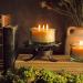 Buy Bluecorn Botanica Beeswax Candle - 3-Wick Pure Beeswax & Vanilla Scented Candle | International Shipping Available - Buy Online on GoSupps.com