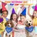 Dog Birthday Bandana Set - Hollow Birthday Accessories for All Sizes | Celebrate Your Dog's Special Day - Buy Online on GoSupps.com