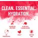 Biosteel Electrolyte Drink Mix - Berry Flavor - 1 Pack (12 Count) - Buy Online on GoSupps.com
