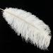 White Ostrich Feathers Craft Pack - 10pcs, 16-18 inch for Wedding, Party, DIY Decor - Buy Online on GoSupps.com