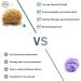 Tom & Pat Natural Sponge - Premium Quality Bathing & Shower Sponge from Greece | Dermatest Very Good 25-26 cm Body Peeling Sponge with Cord & Glass Trailer - Buy Online on GoSupps.com