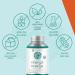 Youtheory Ocean Friendly Omega Plant Based & Vegan Omega Supports Brain & Heart Health 60 Count - Buy Online on GoSupps.com