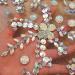 Noble Handmade Crystal AB Beaded Bridal Applique Patch - DIY Wedding Dress Trim 38x56cm - Buy Online on GoSupps.com