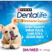 DentaLife Plus Immune Support Dog Treats - 408 g Pouch (4 Pack) - Buy Online on GoSupps.com