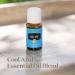 Cool Azul Essential Oil 15ml - Refreshing Post-Workout Recovery Blend | Aromatherapy with 14 Cool Minty Essential Oils - Buy Online on GoSupps.com