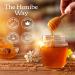 Honibe Honey Drops | 100% Pure Honey | Solid Honey Sweetener | Soothes Sore Throat | Pack of 12 20 Drops per Pack (240 Drops) - Buy Online on GoSupps.com