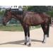 Horse Fly Boots - Fly Boots Perfect for Horse Leg Bandages and Maximum Horse Fly Protection Set of 4 (Grey COB) gray Cob - Buy Online on GoSupps.com