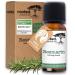 rooted. organic rosemary oil 100% hair power oil - activates immediately hair growth maintains scalp effective against hair loss - high dose - natural oil rosemary oil (10ml)