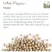 White Peppercorns Whole 100g - Premium White Peppercorn Spice - Buy Online on GoSupps.com