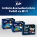 Buy FELIX As Good As It Looks Mixed Variety in Jelly Wet Cat Food - 44x85g Portion Bags - International Shipping Available - Buy Online on GoSupps.com