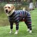Surgical Recovery Suit for Dogs - Breathable Post-Operative Pajamas Long Sleeved Abdominal Wound Protection - Alternative to Cranial Crate XL (1 Pack) - Blue - Buy Online on GoSupps.com