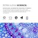Buy Re:generative Rich Cream Moisturizer Vegan Hydration & Tone Evening | Intelli-Cell Science 1.7 Oz - International Shipping Available - Buy Online on GoSupps.com