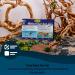 Tetra Watertest Set - Accurate Testing for 5 Essential Water Values in Aquariums & Garden Ponds | Professional Lab Quality 1 Piece - Buy Online on GoSupps.com