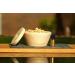 Fragrance Set - Pine Wood Decor with Tin Lid Shavings & Pine Oil - 4 Piece Gift Set for Home & Travel - Buy Online on GoSupps.com