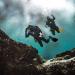 Scubapro S-Tek Pro Fluid Form Weight System - Dive Weight System - Buy Online on GoSupps.com