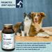 PURICA Pet Recovery Powder - 350g Dog Joint and Hip Supplement Joint Care for Enhanced Mobility & Comfort - Buy Online on GoSupps.com