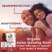 Asian Ginseng Root Supplement for Vitality & Focus - 1 Fl Oz | Antioxidant, Energy Booster, Vegan & Non-GMO - Buy Online on GoSupps.com