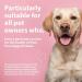 EMMI-PET 3x Dog Toothed Cream - Vegan Toothpaste for All Breeds & Ages | Safe Fluoride-Free Cruelty-Free - Buy Online on GoSupps.com