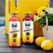 Bai Flavored Water Burundi Blueberry Lemonade - Antioxidant Infused 18oz Bottles (Pack of 12) - Buy Online on GoSupps.com