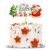 Blumomon 1Pcs Merry Christmas Cake Topper Xmas Cupcake Pick Decorations for Xmas Party New Year Ceremony Cake Cake Decor Party Supplies Christmas-1