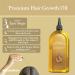 Premium Hair Growth Oil XL 170ml - Rosemary Biotin Jojoba Castor Coffee Almond Argan Baobab Peppermint Ginger & Tea Tree Oil - Hair Growth & Thickening & Loss Prevention - UK Based Brand 170ml Hair Oil - Buy Online on GoSupps.com