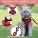 Adjustable Cat Dishes for Kittens & Puppies - Elevated Feeding Bowls with Line Set - Optimal Pet Feeding Solution (Red) - Buy Online on GoSupps.com