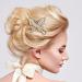 OIIKI 4PCS Butterfly Hair Clips | Pearl Rhinestones Hair Pins | Gold Hair Barrettes for Women, Girls, Brides - Buy Online on GoSupps.com
