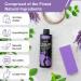 Daily Remedy Lavender Callus Remover Gel & Pumice Stone Set - Professional Strength Foot Care for Calluses, Dead Skin, and Cracked Heels - Buy Online on GoSupps.com