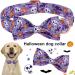 Shop Cute Pumpkin Dog Collar - Halloween Pet Accessories | Skull & Bat Design - Small Size - Perfect for Spooky Season! - Buy Online on GoSupps.com