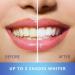 Mentadent Teeth Whitening Pen (2 Pens) - Enamel Safe Stain Remover for a Beautiful Smile - Non-Toxic & Effective Formula - Easy, Painless, and Travel-Friendly - Buy Online on GoSupps.com