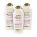 OGX Extra Creamy + Coconut Miracle Oil Ultra Moisture Lotion, 19.5 Ounce (Pack of 3) 19.5 Fl Oz (Pack of 3)