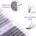 240PCS D Curl Cluster Lashes Extension 10D/20D MIX 12-16mm DIY Eyelashes Extensions - Buy Online on GoSupps.com