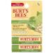 BURTS BEES Ginger Lime Lip Balm 2 Pack 4.25 GR