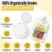 Kyolic - Cholesterol Control with Lecithin 180 Capsules - Kyolic Cholesterol Formula 104 - Cholesterol Lowering Supplement - Kyolic Aged Garlic Extract Capsules - Heart Health & Immune System Support 180 count (Pack of 1) - Buy Online on GoSupps.com