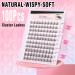 100pcs Cluster Lashes D Curl Individual Eyelashes DIY Lash Clusters Wispy Cluster Eyelash Extensions Manga Look Lahes Idividual Custer DIY Eyelashes Extensions by Goddvenus Natural Clusters-QC - Buy Online on GoSupps.com