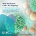 Life Extension NK Cell Activator - 30 Vegetarian Tablets for Immune Support - Buy Online on GoSupps.com