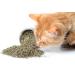 Maximum Potency Organic Catnip Blend - Premium Cat Weed for Crazy Cat Play - 1 Cup - Buy Online on GoSupps.com