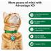Advantage XD Flea Prevention for Small Cats (1.8-9 lbs) - Long-Lasting Treatment - 2 Pack - Buy Online on GoSupps.com