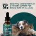 Animal Essentials Hawthorn Berry Supplement for Dogs & Cats - Heart Health Support Herbal Tincture for Pets Natural Liquid Extract for Circulation & Cardiovascular Support Organic Hawthorn- 1 fl oz - Buy Online on GoSupps.com