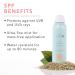 100% PURE Yerba Mate Mist SPF 30 3.4 Fl Oz Daily Face Sunscreen - Broad Spectrum UVA/UVB Protection | Water-Resistant Zinc Oxide Natural Sunscreen - Mattifies Face for Mess-Free Application - Buy Online on GoSupps.com