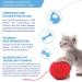 Churu Katzensnacks for Kittens - Healthy Tuna Treats for Young Cats Under 12 Months (56 Pieces 1 Pack) - Buy Online on GoSupps.com
