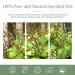 PHATOIL Patchouli Essential Oil 30ML - Premium Grade Pure Oil for Aromatherapy, Diffusers, and Candle Making - Buy Online on GoSupps.com