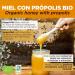 Honey with organic propolis x 400 gr. Propolis with floral aroma. Bee honey with a thousand flowers with propolis that improves defenses and has protective properties. - Buy Online on GoSupps.com