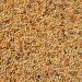 Supravit exotic feed 2.5kg - high -quality mixed feed for exotic finches - contains valuable varieties & seeds i strengthens the feather dress & supports the willingness of mating in the bird ... 2.5 kg (1 Pack)