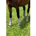Harrison Howard Horse Fly Boots Four Leg Guards Ruby - Set of 4 Full Size Silver - Buy Online on GoSupps.com