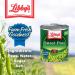Libby's Sweet Peas - Tender & Succulent with Sweet Nutty Flavor - Creamy Smooth, Farm Fresh Goodness - 8.5 oz (Pack of 12) - No Preservatives - Buy Online on GoSupps.com