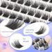 Shop LZM Natural Look Individual Lashes - 8-14mm DIY Soft C Curl Cat Eye False Lashes | Thin Band Wispy Cluster | International Shipping - Buy Online on GoSupps.com